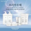 프리마스파 이미지