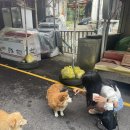 성류굴주차장(북부2) 이미지