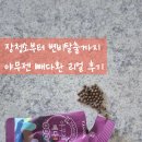 장청소부터 변비탈출까지, 야무젠 빼다환 리얼 후기
