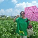 명창농장 이미지