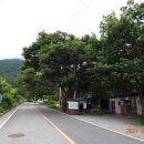 삼진경로당 | 고헌산 &amp; 문복산 1일2산 2021-07-03
