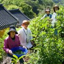 조선대학교 디자인대학원 이미지