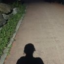 탄천 죽전삼거리 이미지