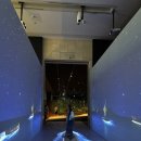 보나장신구박물관(휴관) | 국립중앙박물관 특별전 마나 모아나 신성한 바다의 예술, 오세아니아 전시회 후기,굿즈, 티켓 발권 꿀팁
