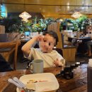 한무컨벤션 직원식당(호텔오크우드) | 코엑스 쌀국수, 팟타이 맛집 "파파야리프" 내돈내산 후기