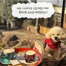 송당송당 | 제주 스누피가든 수요미식회 카페 풍림다방 송당점 애견동반후기