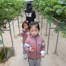 명호초등학교병설유치원 이미지