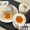 살구야 | 홍대 분위기 좋은 카페 아프리포코 서교동 카페 살구 라떼 후기