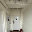 시크릿 호텔2 | 새벽 도착 호텔 추천｜미스터 랍스터스 시크릿 덴 패밀리룸 후기 (feat. 국광버스, 2층침대, 위치)