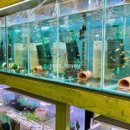 엔젤아쿠아펫가든 이미지