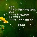 샬롬 Daum카페