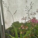 광명공판장 이미지