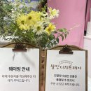 웰빙시대.건강백화점 | 잠실 롯데백화점 웰빙디저트 팝업 첫날 방문 후기(쭈롱베이커리,꼬소제과점,미니데일리베이커리,히포...