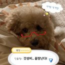 부오상회 이미지