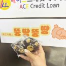 방석세천 | [대구 달성군] 신상 애견카페 • 야외 루프탑 • 프라이빗 룸 • 뚱땅뚱땅˚₊·—̳͟͞͞♡