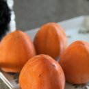 나산시장 | 11월 보름 ②