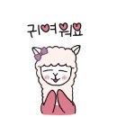 무국적식탁 이미지