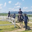 함안 승마장 이미지