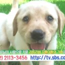 송은농장 이미지