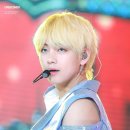 비비드(vivid)