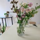 힐링 플라워 꽃꽂이 | 대구역 동성로 데이트코스추천 원데이클래스｜누에플라워스튜디오 꽃꽂이 플라워클래스 후기