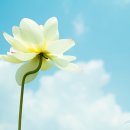 삼흥농장 이미지