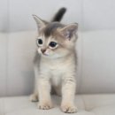 집사의 하루 대구점 이미지