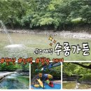 백두개가든 | 운주계곡 수룡가든 예약 꿀팁, 평상비용 등 내돈내산 후기