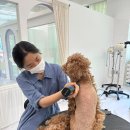 오늘의 개스트 이미지