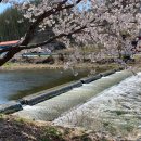 금대초등학교 이미지