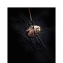 만경초등학교 이미지