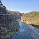드르니 Daum카페