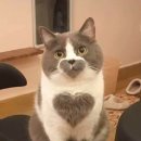 타잔 PC방 이미지