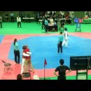 한국체대 아라태권도장 이미지