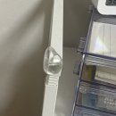 헤어칼라,팜 | 자취템 소비목록(테무편)