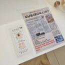 드림디톡스