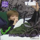 원이불
