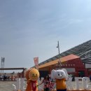 K-합기도 | 제주SK FC 홈경기 직관후기 및 K리그 산리오 굿즈