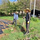 희망영농 이미지