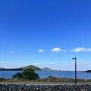 고성동서로 17 ↔ 동남포목 | 제주 리모트워크 I 주말 I &#34;날씨가 다했다&#34; I 성산일출봉 프릳츠, 윌라라