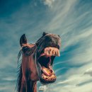 괴정수석치과의원 이미지