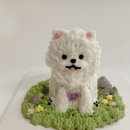 탄탄제과(프리미엄 애견 수제간식, 클래스) | 펫카페창업 전에 반려동물 간식 레시피 배웠어요 (창업 비용)