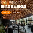[홍성/내포 카페] 금토일만 여는 보물 같은 숲속 공간! '라운드오브라이프' 내돈내산 후기