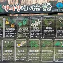 봄아트테라피연구소