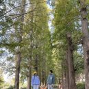 삼원목장 이미지