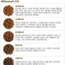 로스팅 이미지