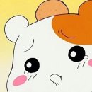 박가한우 이미지