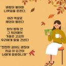 "때"를 잘못 택하면 약발이 안 듣는다 이미지