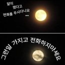 달이떴다고전화를주시다니요 네이버블로그