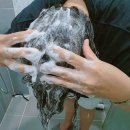 초록달 | 홍현희 샴푸 내돈내산 바이브랩 초록샴푸 실사용 후기